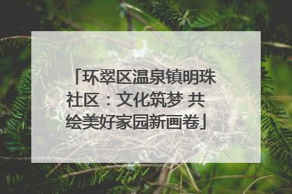 环翠区温泉镇明珠社区：文化筑梦 共绘美好家园新画卷