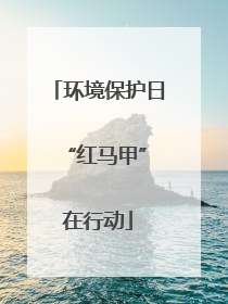 环境保护日 “红马甲”在行动