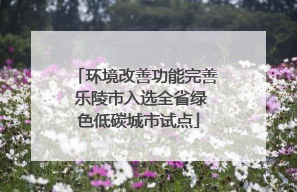 环境改善功能完善 乐陵市入选全省绿色低碳城市试点