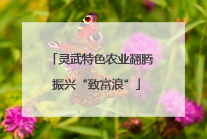 灵武特色农业翻腾振兴“致富浪”