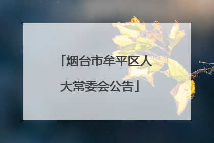 烟台市牟平区人大常委会公告