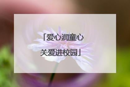 爱心润童心 关爱进校园