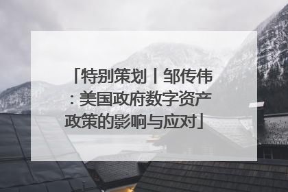 特别策划丨邹传伟：美国政府数字资产政策的影响与应对