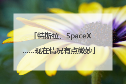 特斯拉、SpaceX……现在情况有点微妙