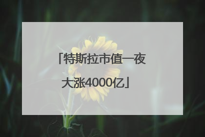 特斯拉市值一夜大涨4000亿