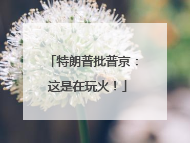 特朗普批普京：这是在玩火！