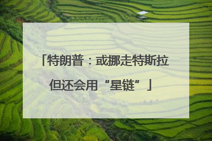 特朗普：或挪走特斯拉 但还会用“星链”