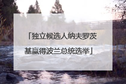 独立候选人纳夫罗茨基赢得波兰总统选举