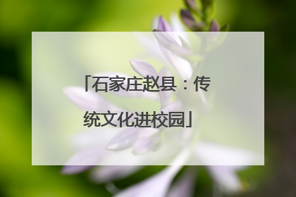石家庄赵县：传统文化进校园