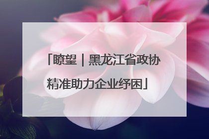 瞭望｜黑龙江省政协精准助力企业纾困