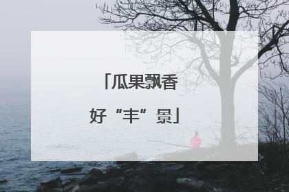瓜果飘香 好“丰”景