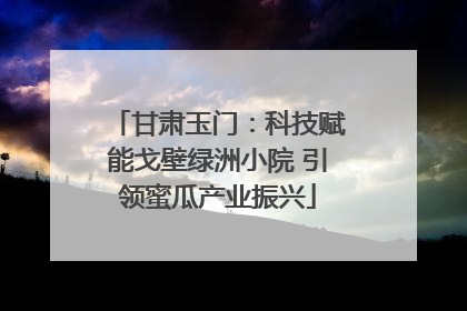 甘肃玉门：科技赋能戈壁绿洲小院 引领蜜瓜产业振兴