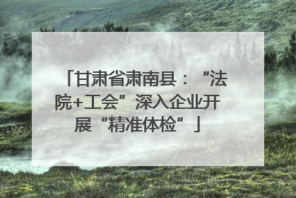 甘肃省肃南县：“法院+工会”深入企业开展“精准体检”