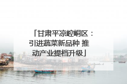 甘肃平凉崆峒区：引进蔬菜新品种 推动产业提档升级