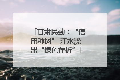 甘肃民勤：“信用种树” 汗水浇出“绿色存折”