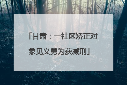 甘肃：一社区矫正对象见义勇为获减刑