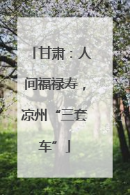甘肃：人间福禄寿，凉州“三套车”