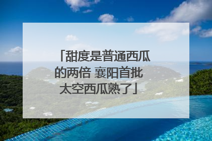 甜度是普通西瓜的两倍 襄阳首批太空西瓜熟了