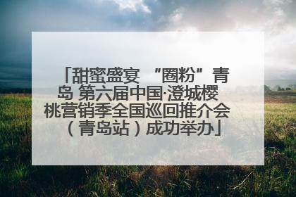 甜蜜盛宴 “圈粉”青岛 第六届中国·澄城樱桃营销季全国巡回推介会（青岛站）成功举办