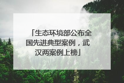 生态环境部公布全国先进典型案例，武汉两案例上榜