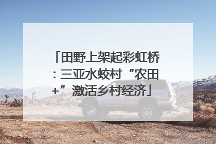 田野上架起彩虹桥：三亚水蛟村“农田+”激活乡村经济
