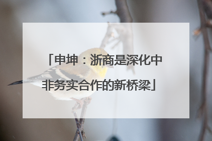 申坤：浙商是深化中非务实合作的新桥梁