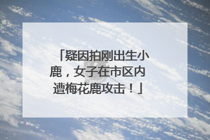 疑因拍刚出生小鹿，女子在市区内遭梅花鹿攻击！