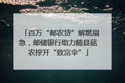 百万“邮农贷”解燃眉急，邮储银行助力随县菇农撑开“致富伞”