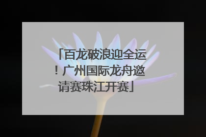 百龙破浪迎全运！广州国际龙舟邀请赛珠江开赛