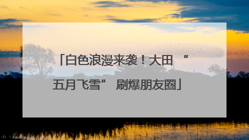 白色浪漫来袭！大田 “五月飞雪” 刷爆朋友圈