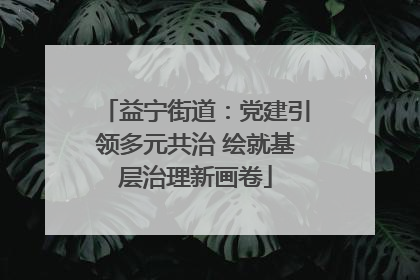 益宁街道：党建引领多元共治 绘就基层治理新画卷