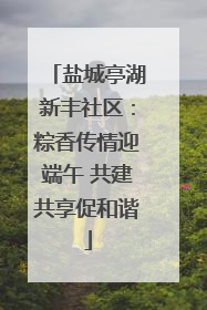 盐城亭湖新丰社区：粽香传情迎端午 共建共享促和谐