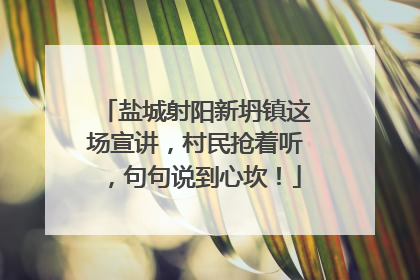 盐城射阳新坍镇这场宣讲，村民抢着听，句句说到心坎！