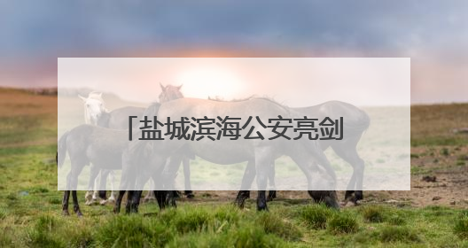 盐城滨海公安亮剑“盐靖”Ⅱ号行动