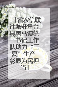 省农信联社派驻鱼台县唐马镇第一书记工作队助力“三夏”生产 彰显为民担当