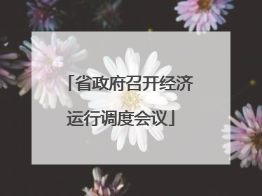 省政府召开经济运行调度会议