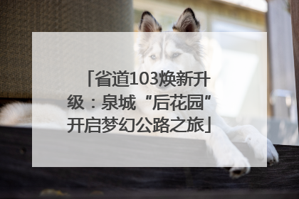 省道103焕新升级：泉城“后花园”开启梦幻公路之旅