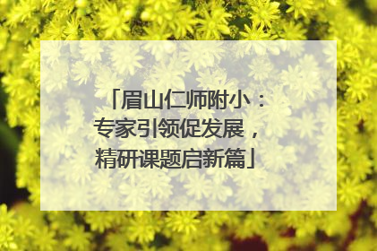 眉山仁师附小：专家引领促发展，精研课题启新篇