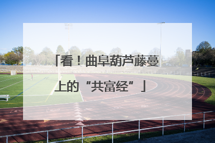 看！曲阜葫芦藤蔓上的“共富经”