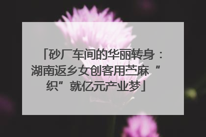 砂厂车间的华丽转身：湖南返乡女创客用苎麻“织”就亿元产业梦