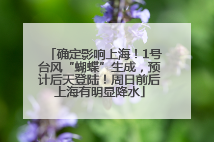 确定影响上海！1号台风“蝴蝶”生成，预计后天登陆！周日前后上海有明显降水