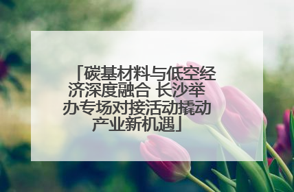 碳基材料与低空经济深度融合 长沙举办专场对接活动撬动产业新机遇