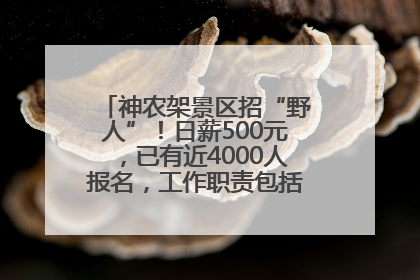 神农架景区招“野人”！日薪500元，已有近4000人报名，工作职责包括“接受游客投喂”