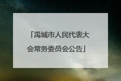 禹城市人民代表大会常务委员会公告