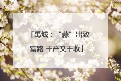 禹城：“蒜”出致富路 丰产又丰收