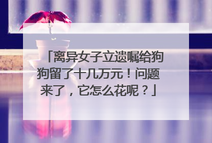 离异女子立遗嘱给狗狗留了十几万元！问题来了，它怎么花呢？