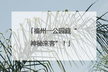 福州一公园藏“神秘来客”！