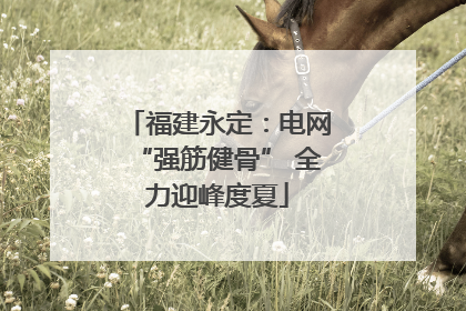 福建永定：电网“强筋健骨” 全力迎峰度夏