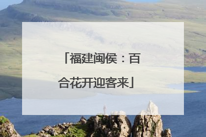 福建闽侯：百合花开迎客来