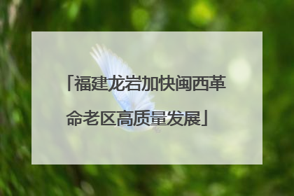 福建龙岩加快闽西革命老区高质量发展